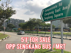 Blk 239 Compassvale Walk (Sengkang), HDB 5 Rooms #146029862